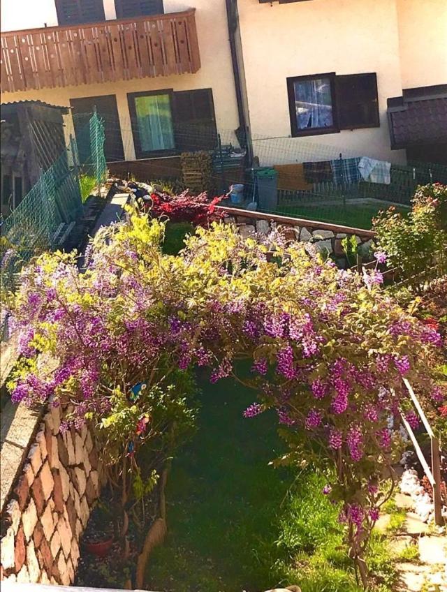 Bella Vista Appartement Canal San Bovo Buitenkant foto