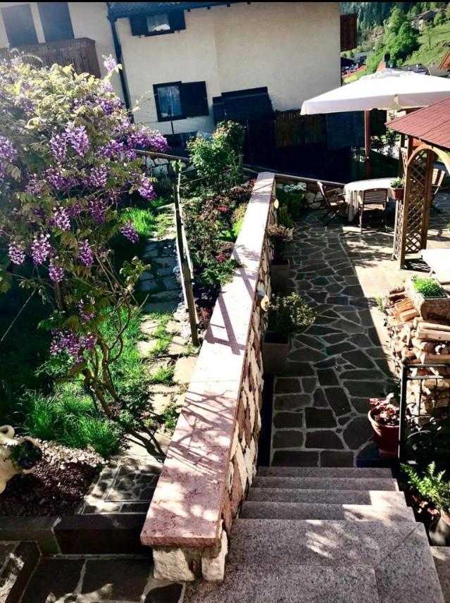 Bella Vista Appartement Canal San Bovo Buitenkant foto